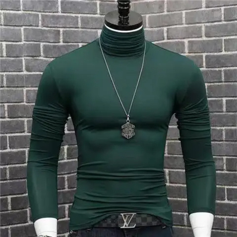 Stylischer Rollkragenpullover