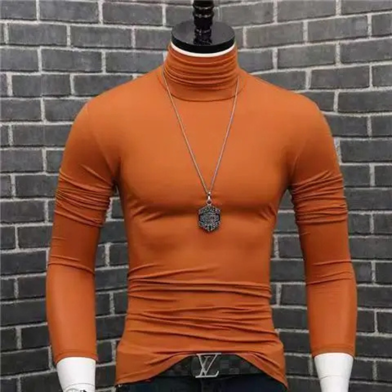 Stylischer Rollkragenpullover