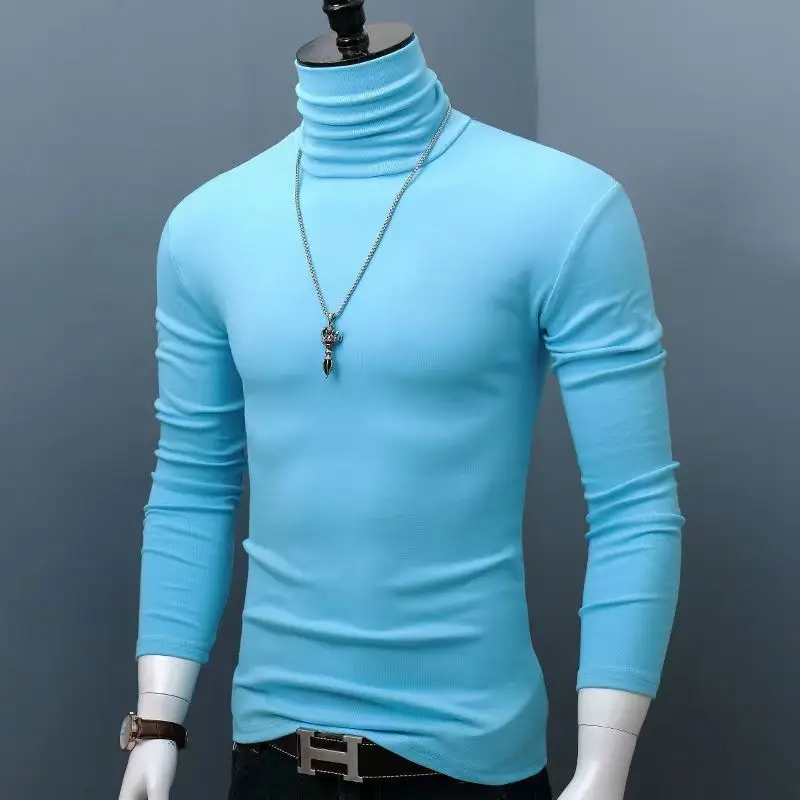 Stylischer Rollkragenpullover