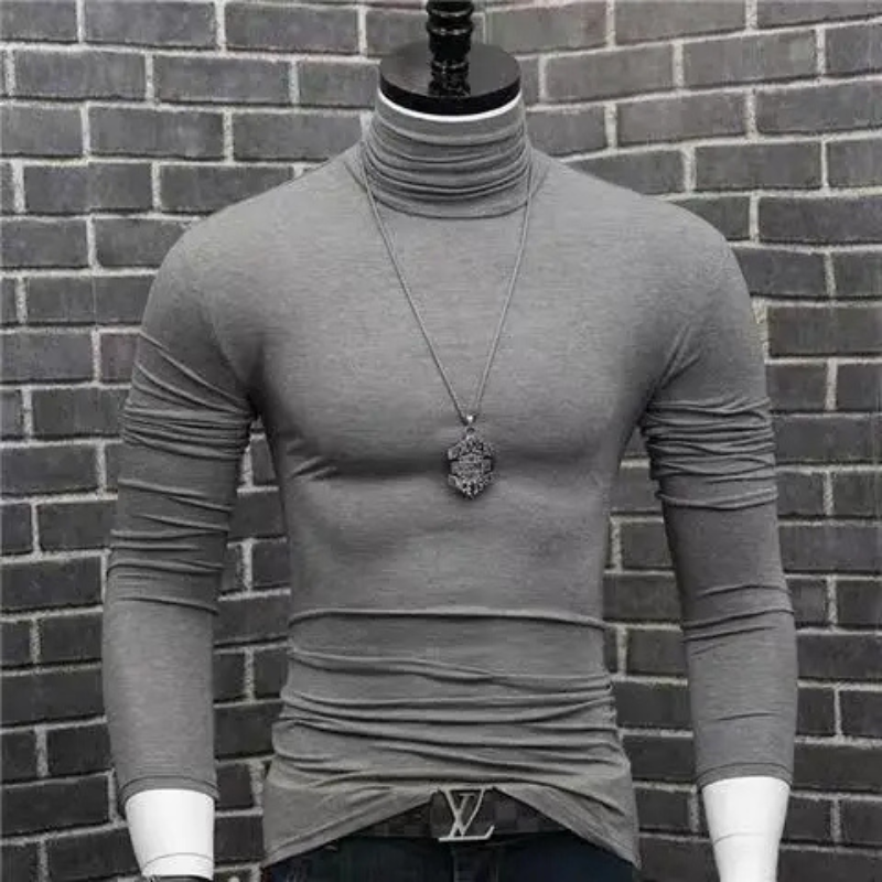 Stylischer Rollkragenpullover