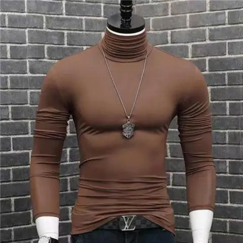 Stylischer Rollkragenpullover