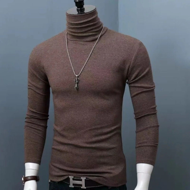 Stylischer Rollkragenpullover