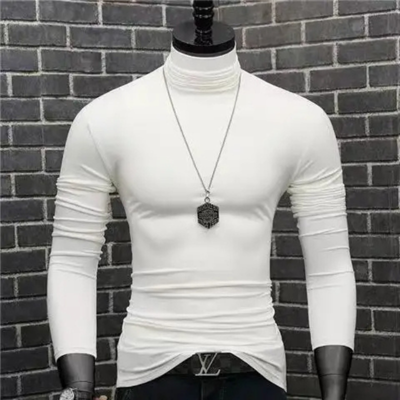 Stylischer Rollkragenpullover