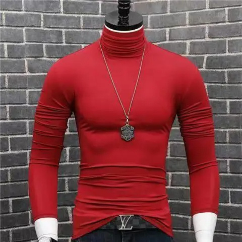 Stylischer Rollkragenpullover