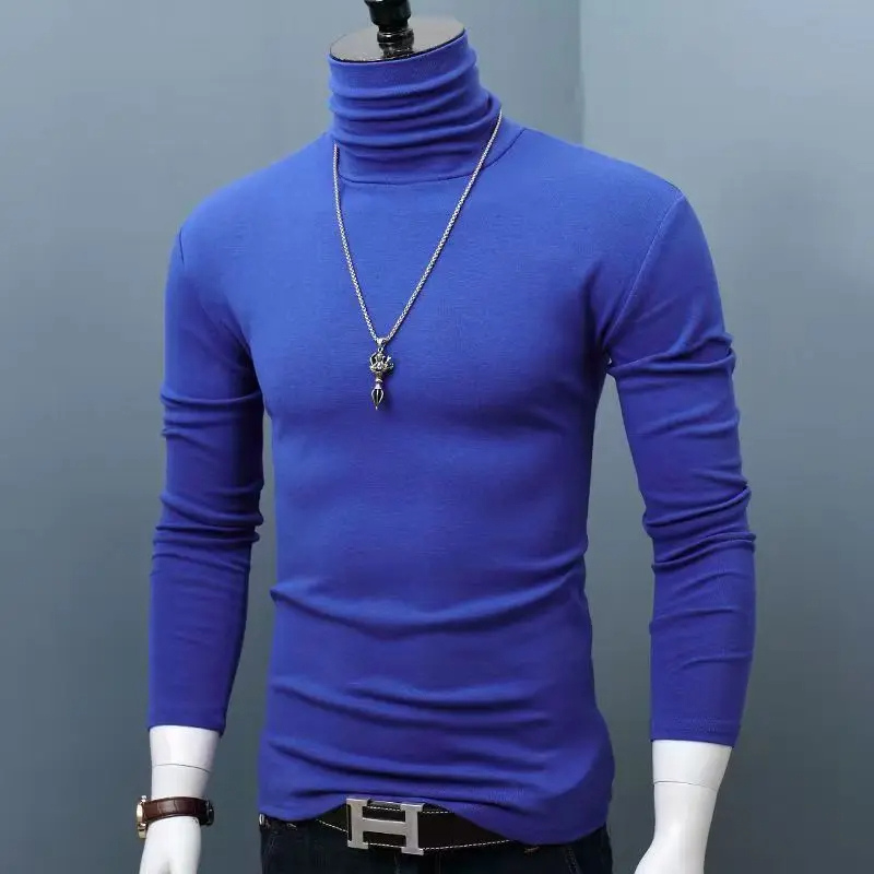 Stylischer Rollkragenpullover