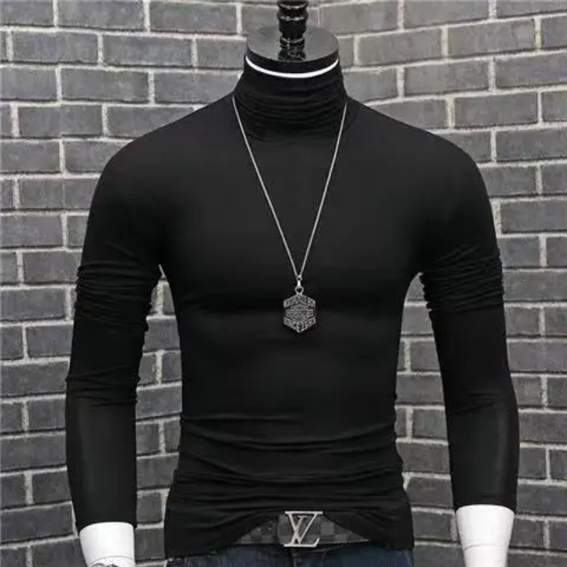 Stylischer Rollkragenpullover
