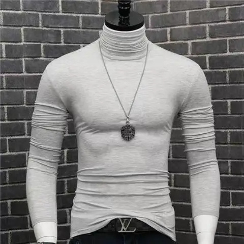 Stylischer Rollkragenpullover