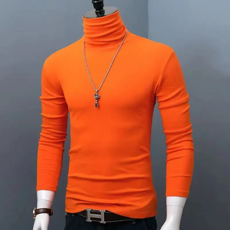 Stylischer Rollkragenpullover